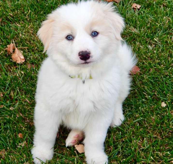 Photo of Oliver Queen