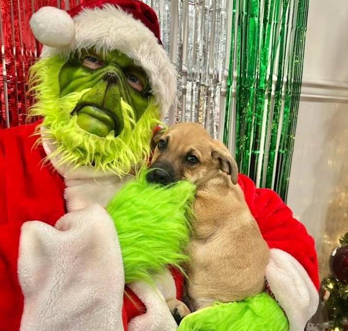 Photo of July Gentry