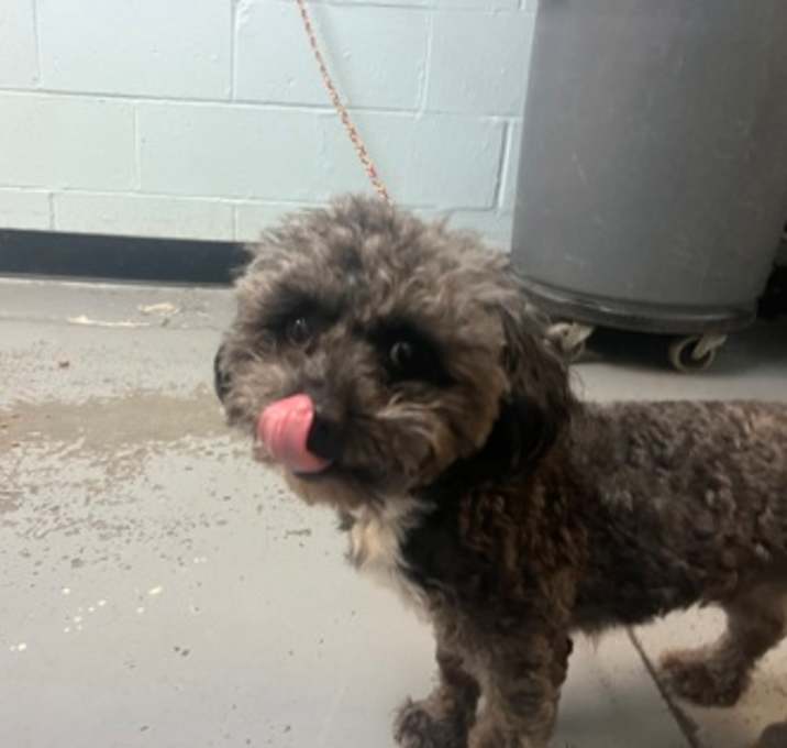 Photo of Sundance Kid