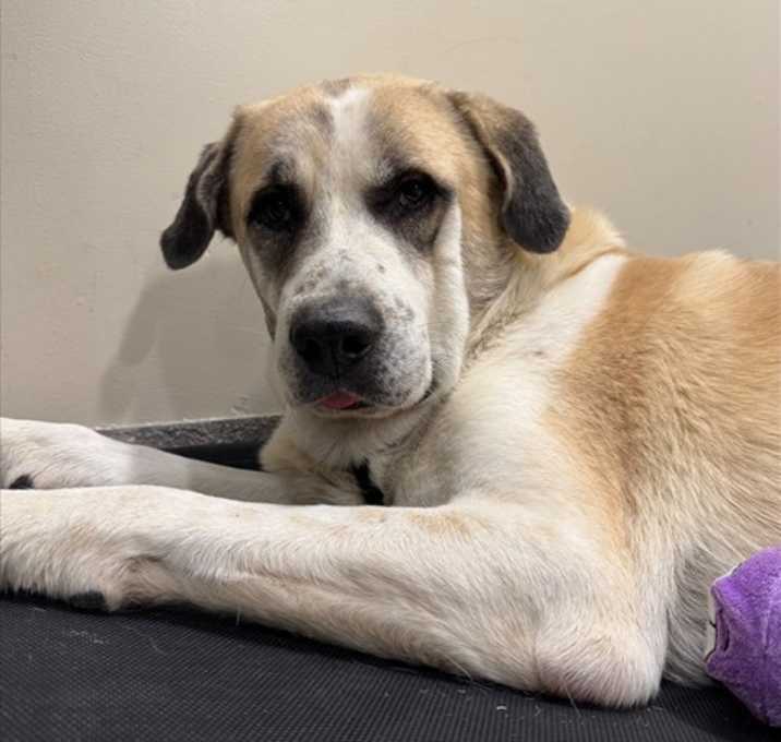 Photo of ERNEST ERNIE