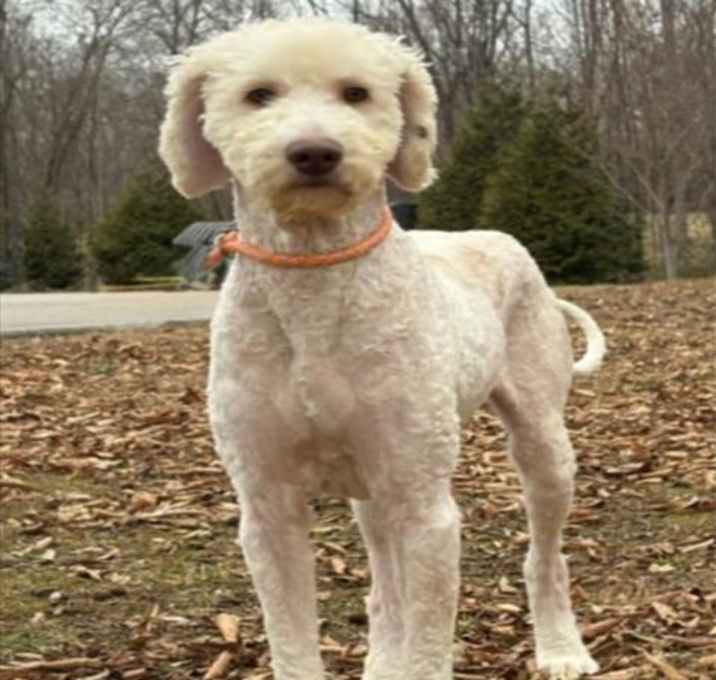 Photo of *MILES FINCH*