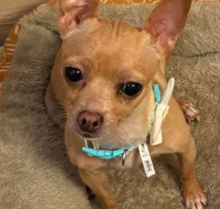 Photo of Xyla Daisy Mae