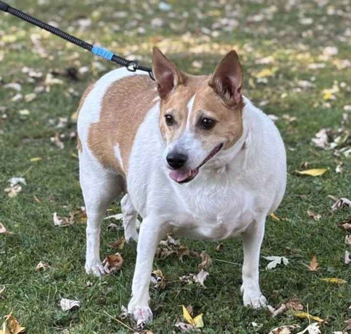 Photo of Rescue Lady