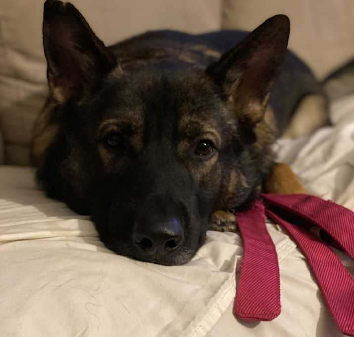 Photo of Ruger Howerton