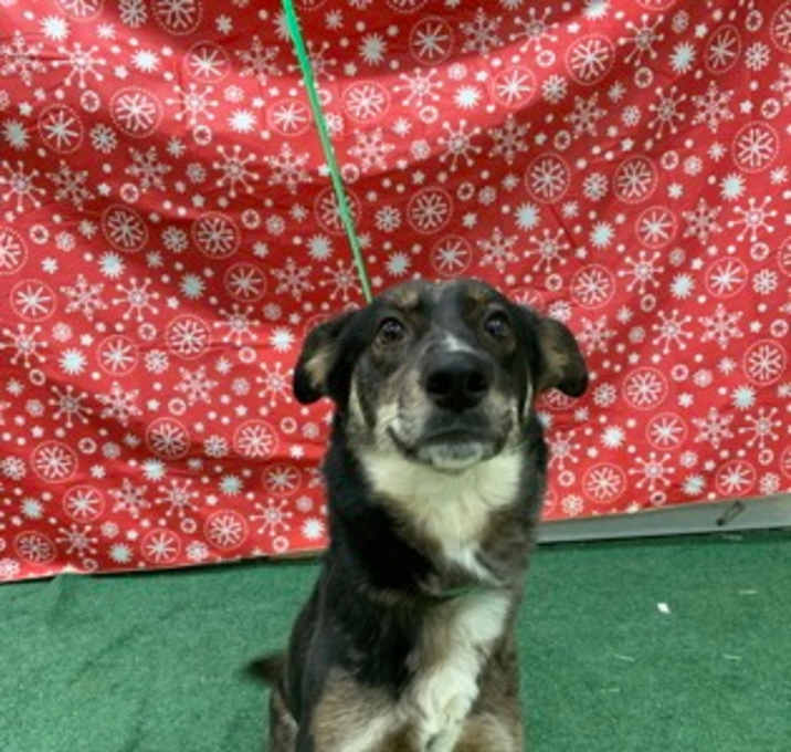 Photo of Rooberry DIRB 12/30/25