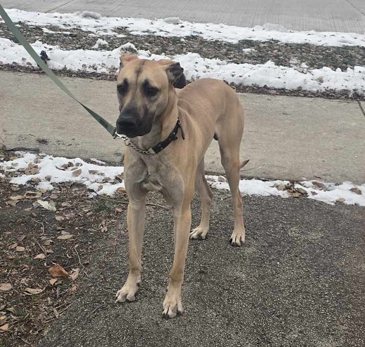 Photo of Zahi Cyprus