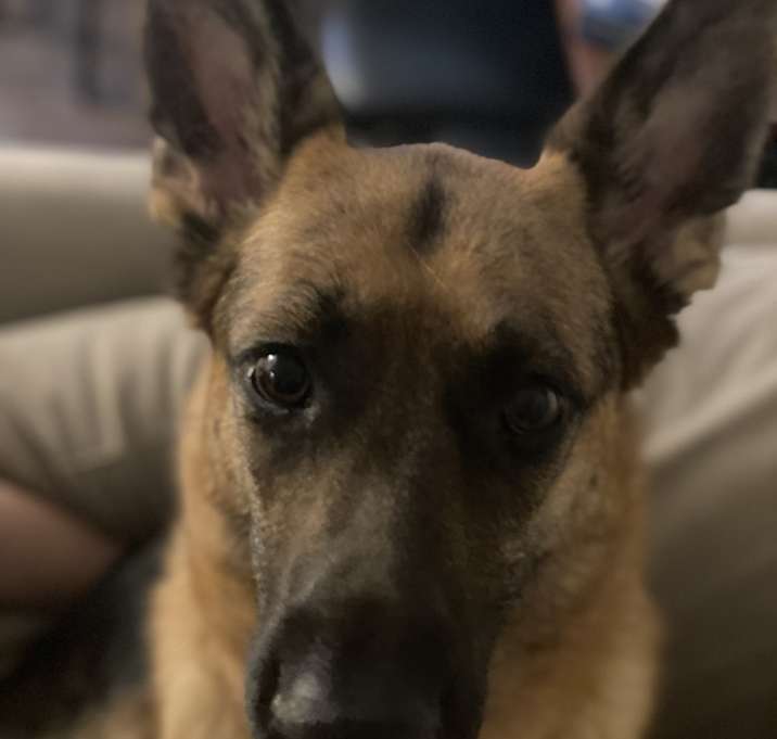 Photo of Remi Howerton