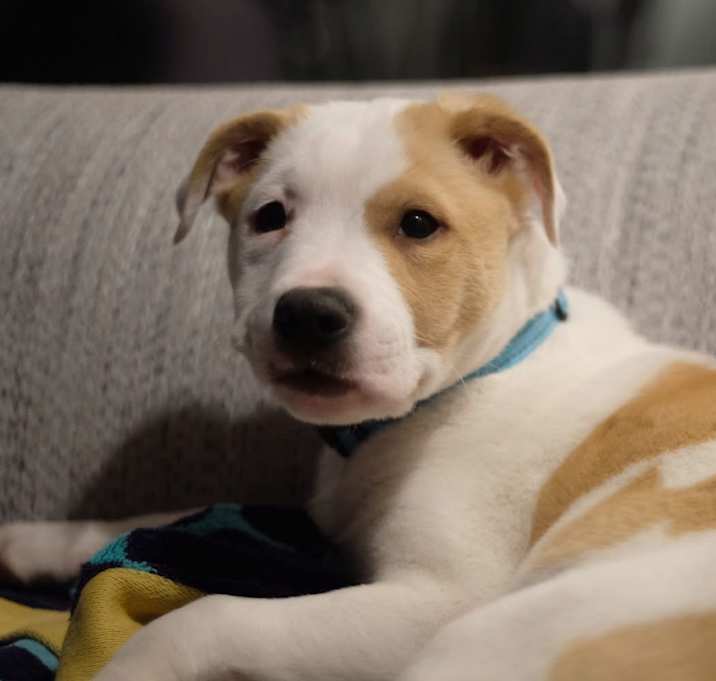 Photo of Indy Newbury