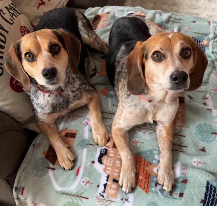 Photo of Bo and Tilly