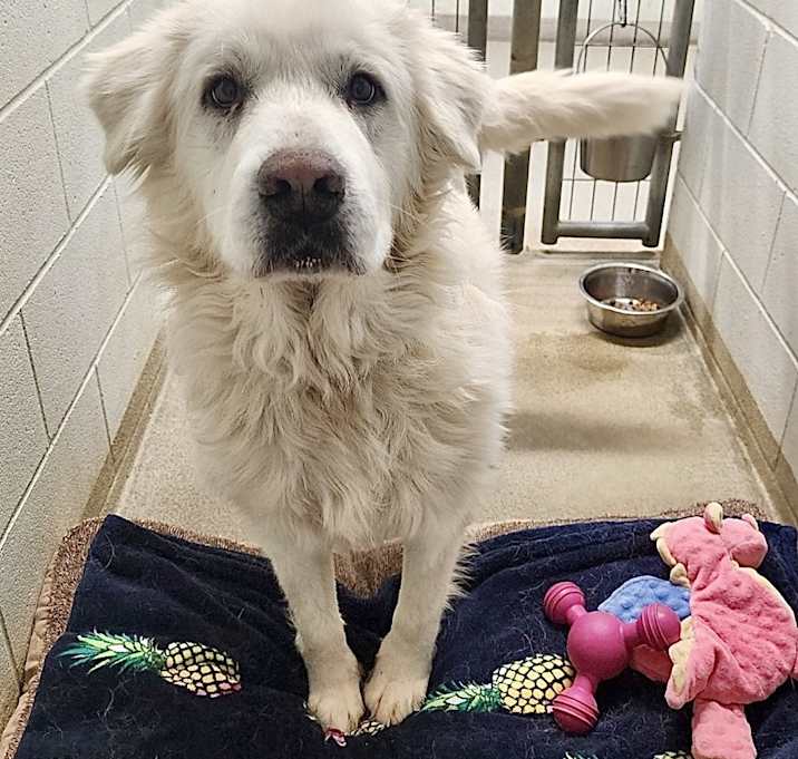 Photo of Luna Harrison #7495