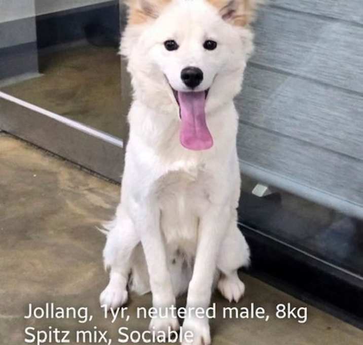 Photo of JOLLANG