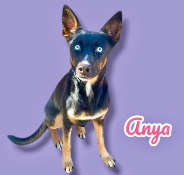 Photo of Anya