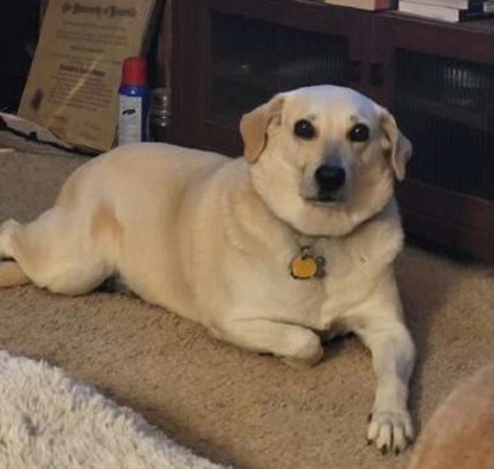 Photo of Jazmine #7311