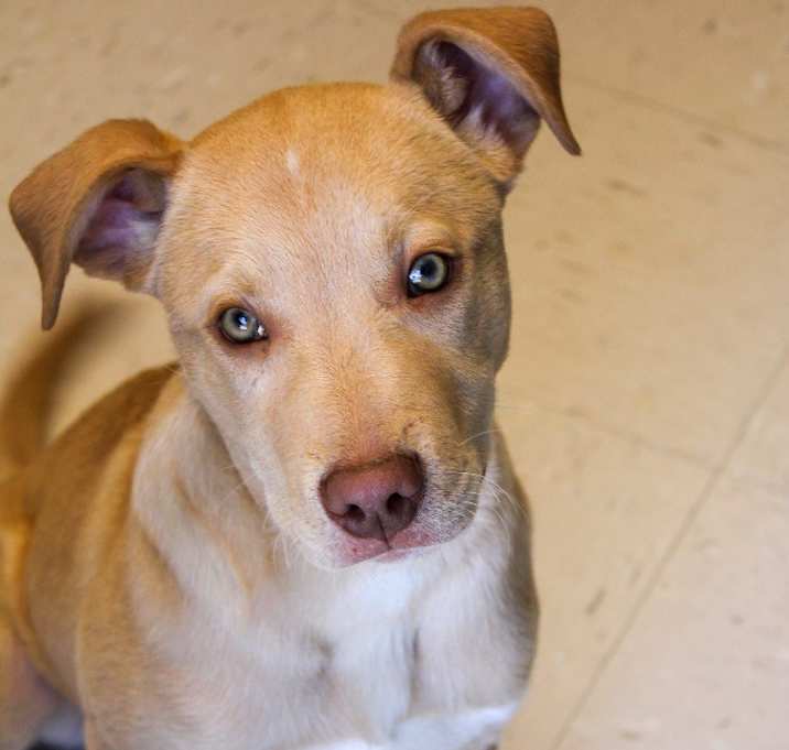 Photo of Drizzy Drake