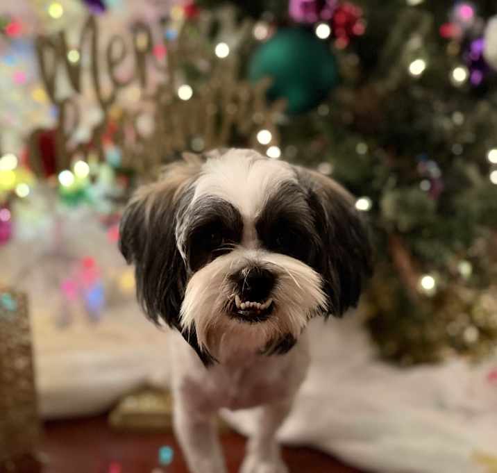 Photo of Ace D. Rocky