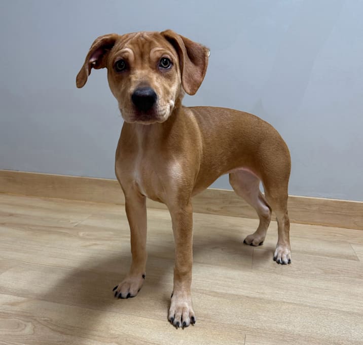 Photo of Patsy D66794