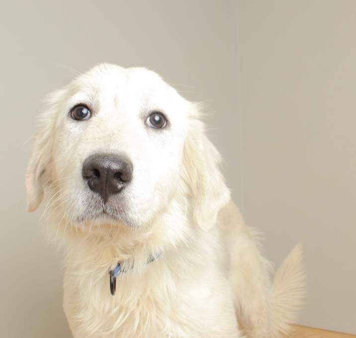 Photo of Odin D67504