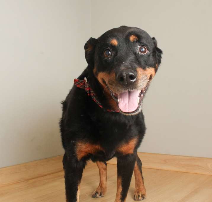 Photo of Trina D67548