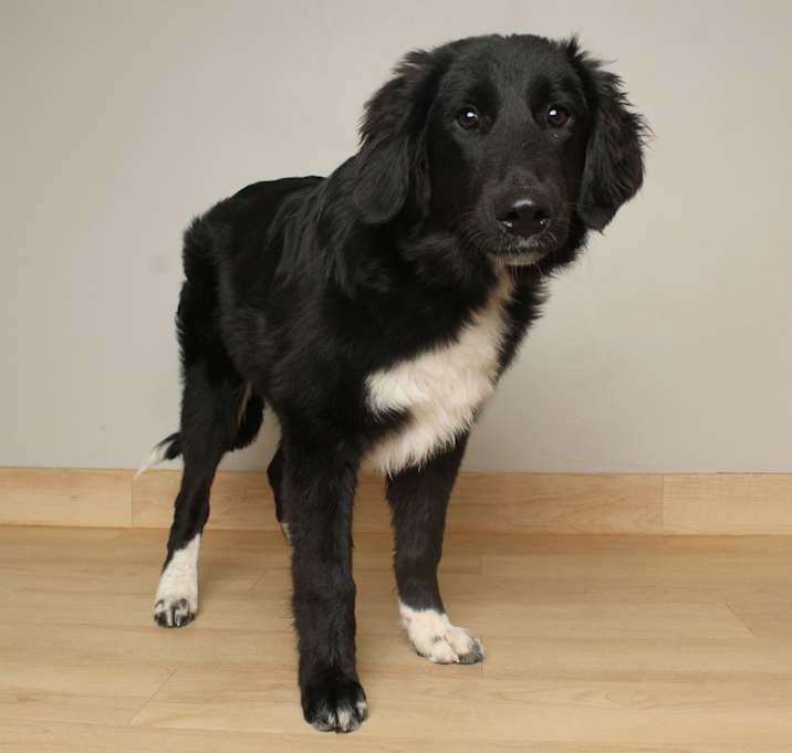 Photo of Wyatt D67624