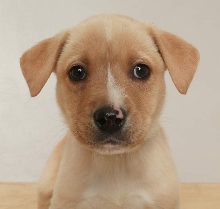 Photo of Sprite D67629