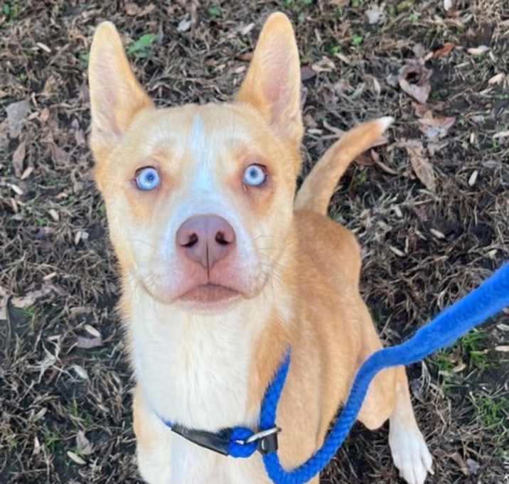 Photo of 25-721 Frostbite