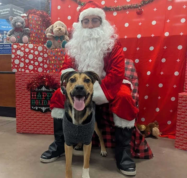 Photo of Brother JuM