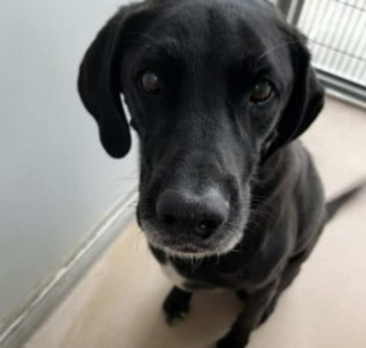 Photo of Bruce 126129