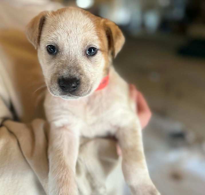 Photo of Miley Cyrus