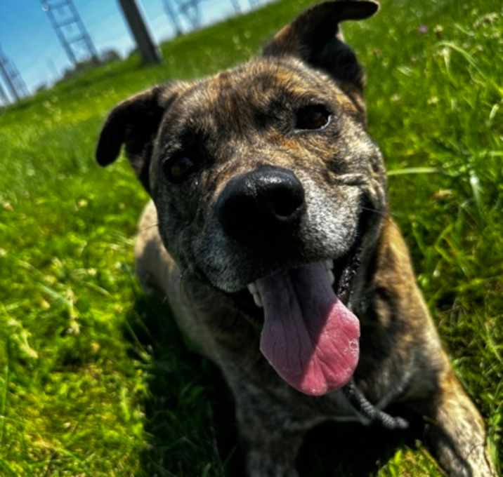 Photo of Lucy May Barker