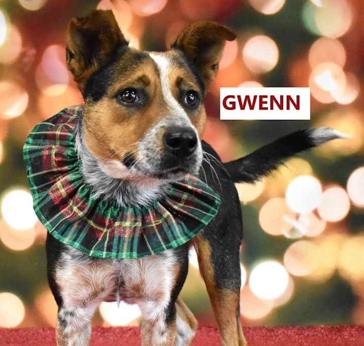 Photo of Gwenn