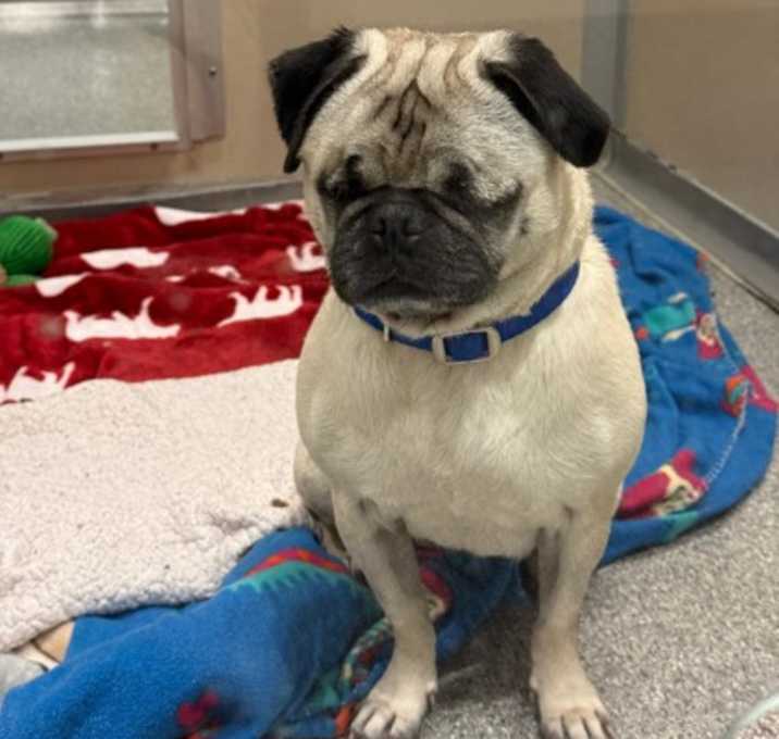 Photo of Minnie Mouse