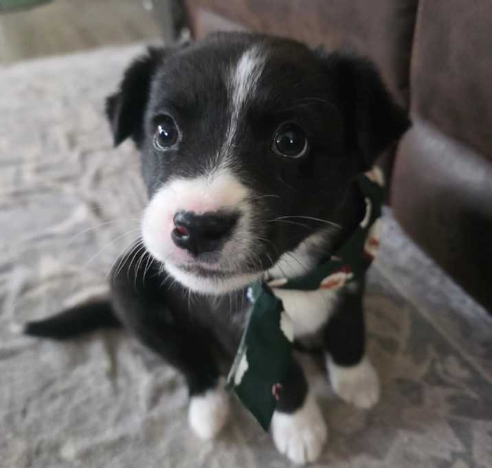 Photo of Clark Griswold