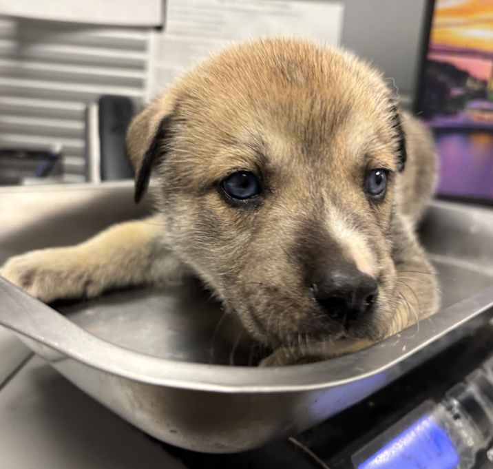 Photo of John McClane