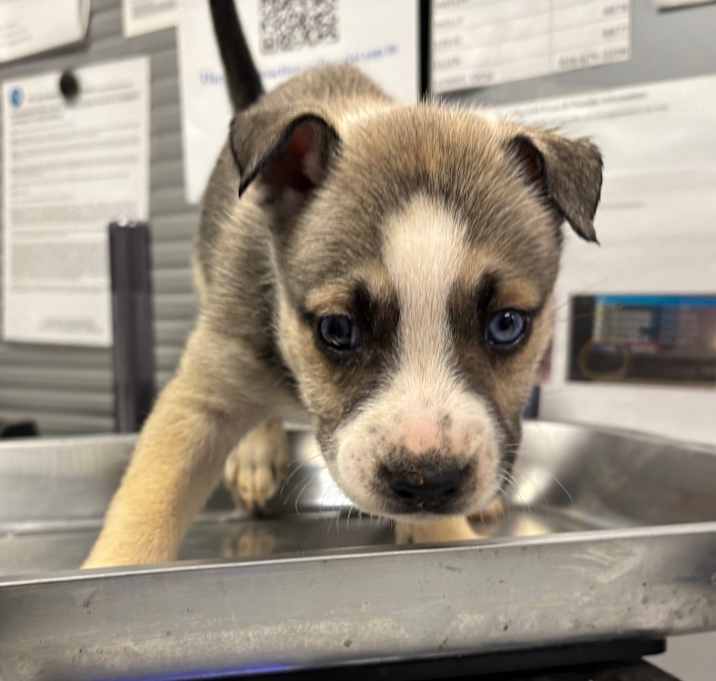 Photo of Holly McClane