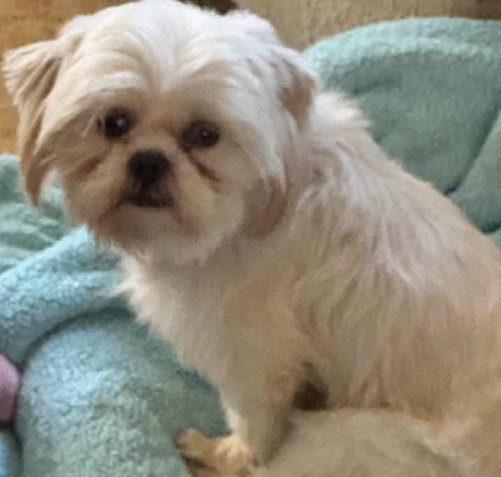 Photo of Nimbus Henson