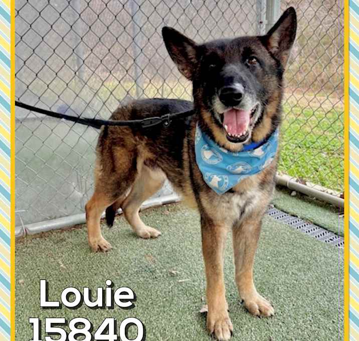 Photo of LOUIE