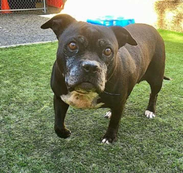 Photo of URGENT! Save Me Please