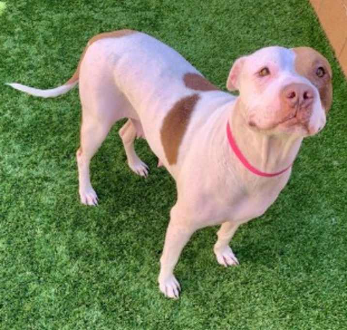 Photo of URGENT! Save Me Please