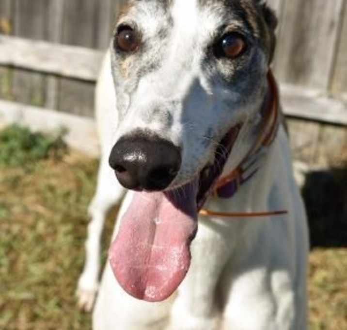 Photo of WW BLOW BYE