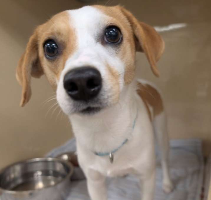 Photo of Rita Skeeter