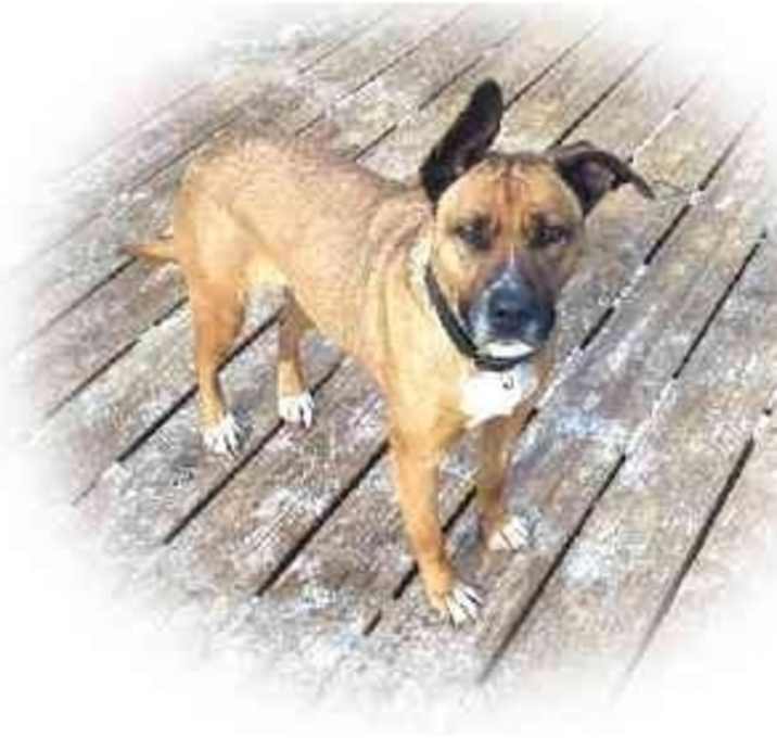 Photo of Josephine