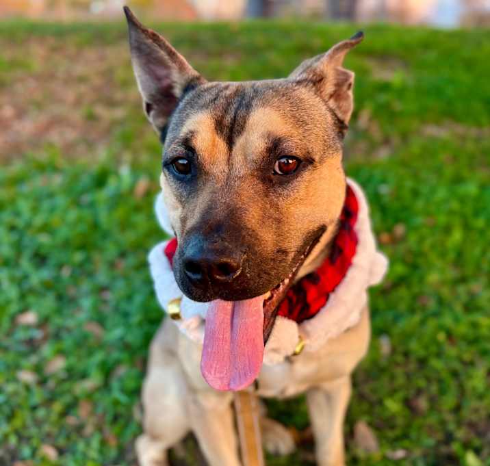 Photo of Buck Rogers