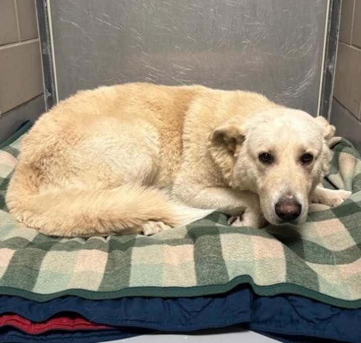 Photo of Mr. Meatball