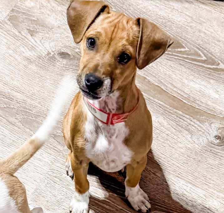 Photo of 943 (2025) Bing