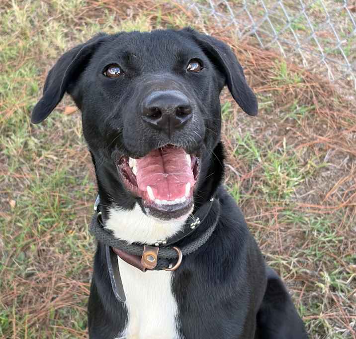 Photo of Virginia 25-06-130