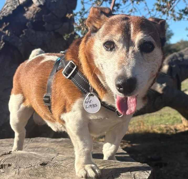 Photo of Mr. Littles