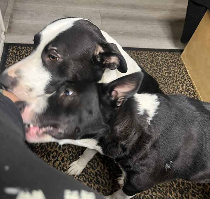 Photo of Sally & Molly