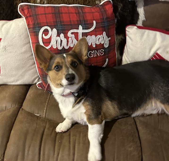 Photo of Amelia Blue