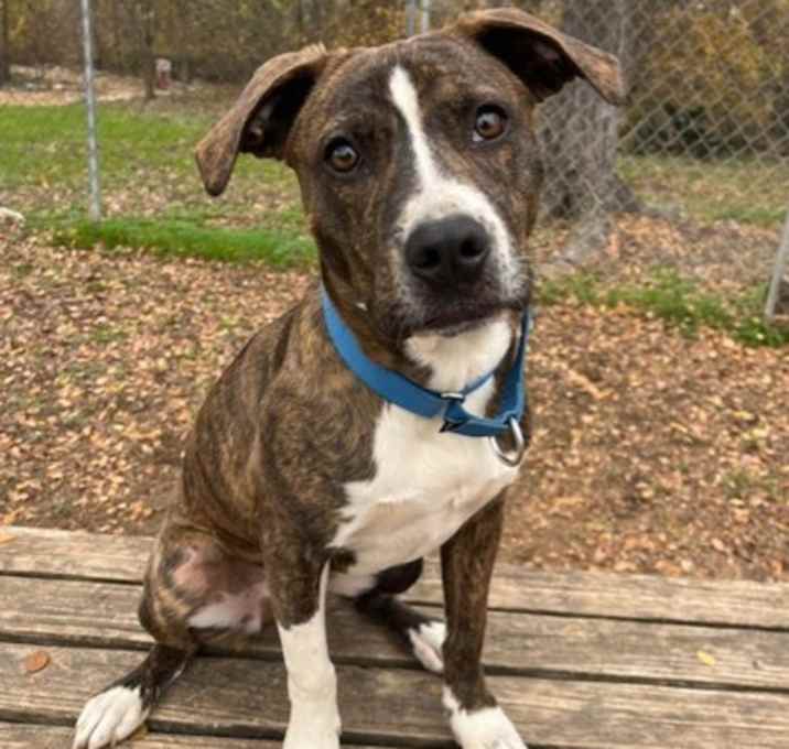 Photo of Wilbur 12-8-25