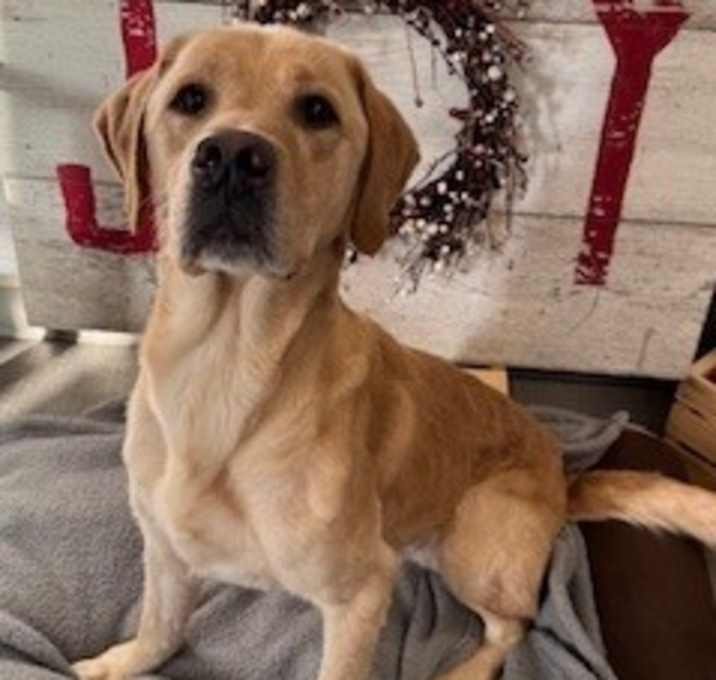 Photo of Archer Yrly 497